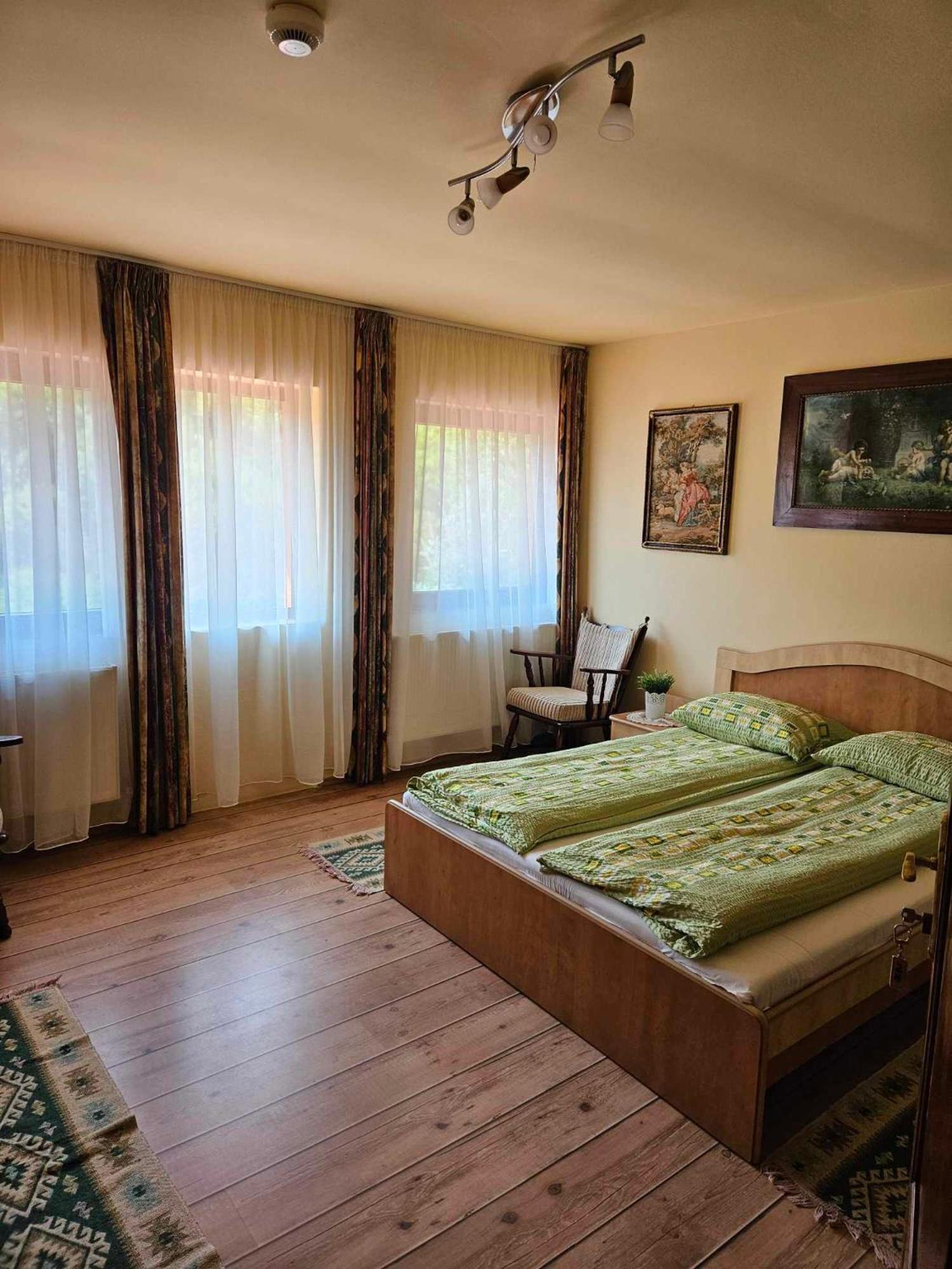 Panzio Anett Bed & Breakfast Pietroasa  Exterior photo